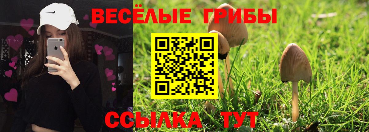 Ступино  Галлюциногенные грибы Psilocybe  Вход с VPN  Галлюциногенные грибы прущие грибы 